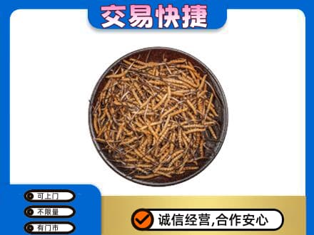 洛阳回收散虫草